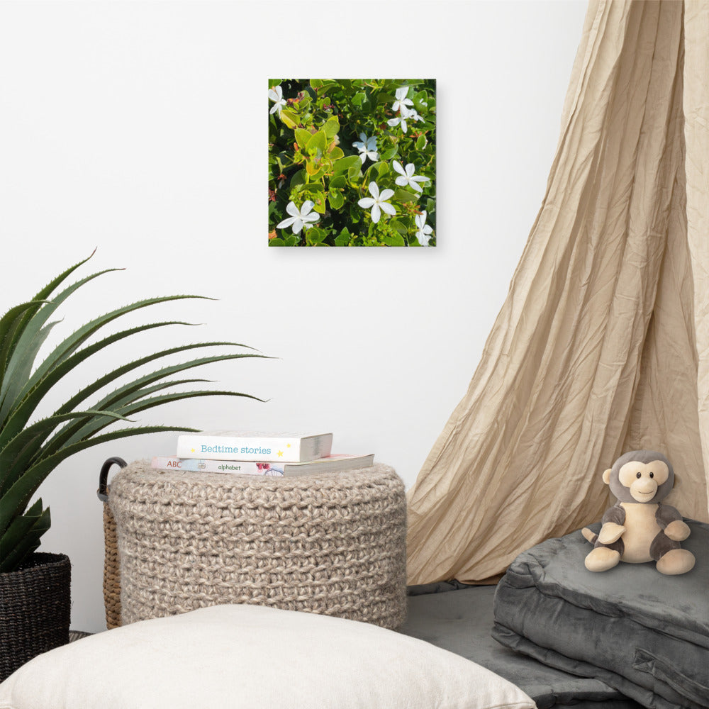 Adorable - flower gift canvas