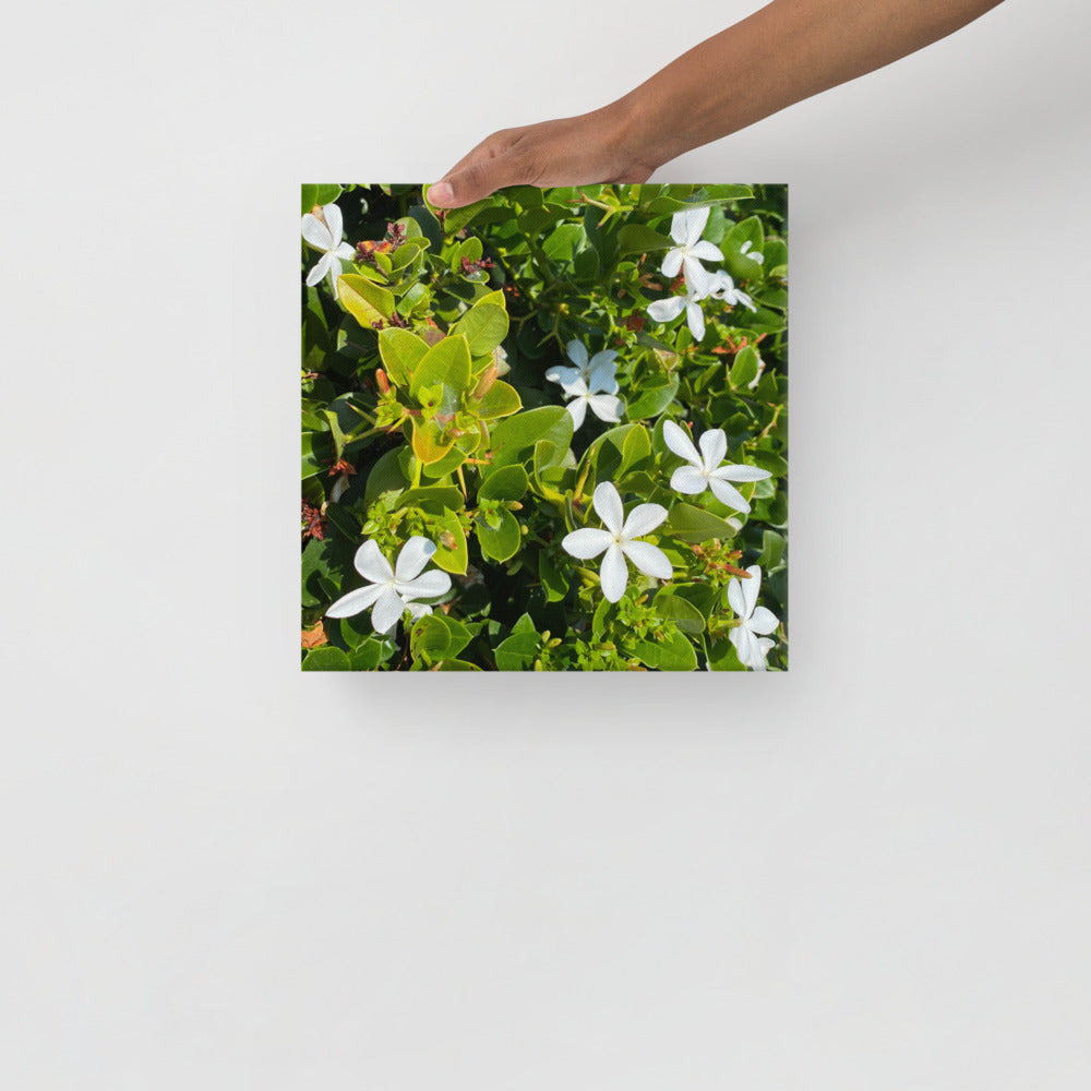 Adorable - flower gift canvas