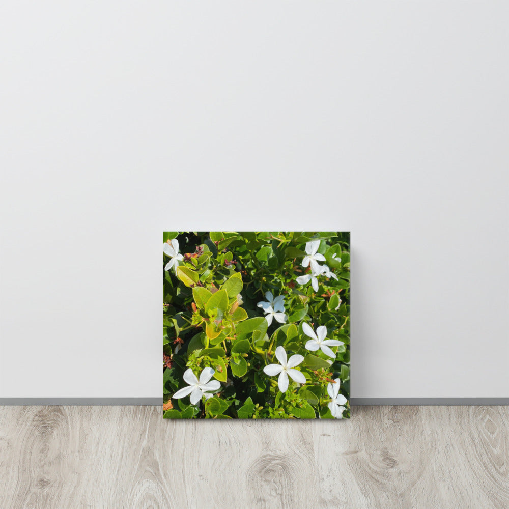 Adorable - flower gift canvas