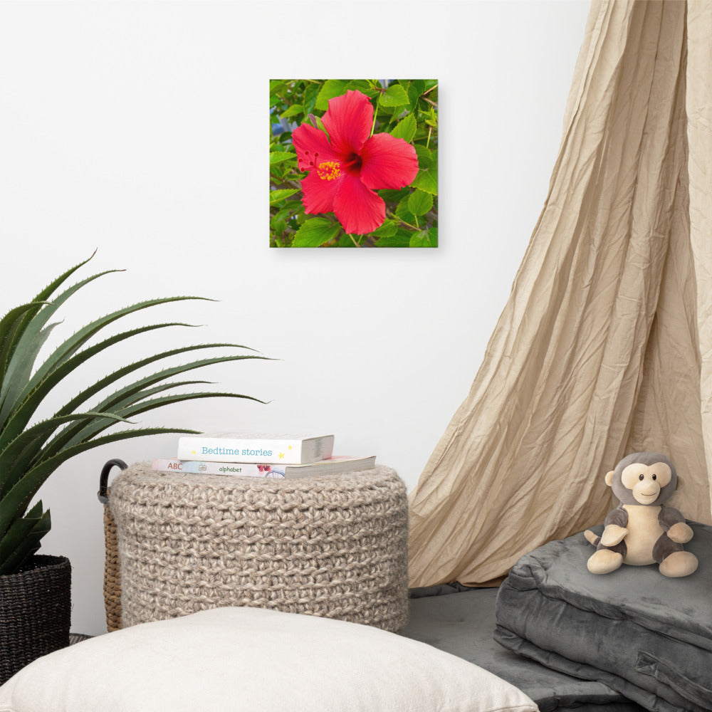 Irresistible - flower gift canvas