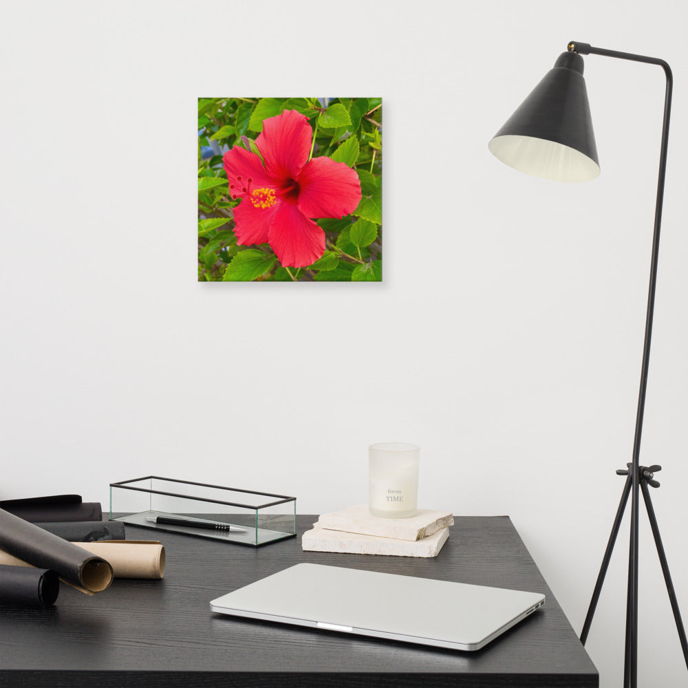 Irresistible - flower gift canvas