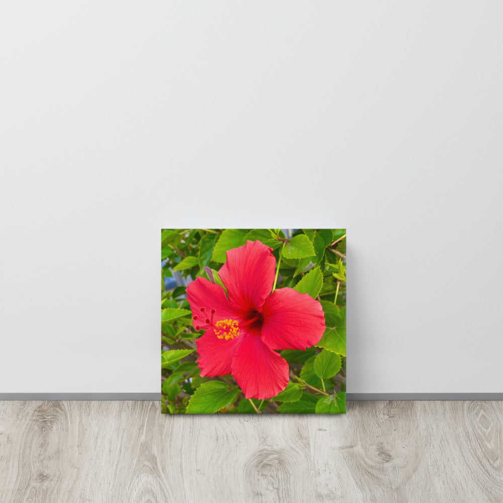 Irresistible - flower gift canvas