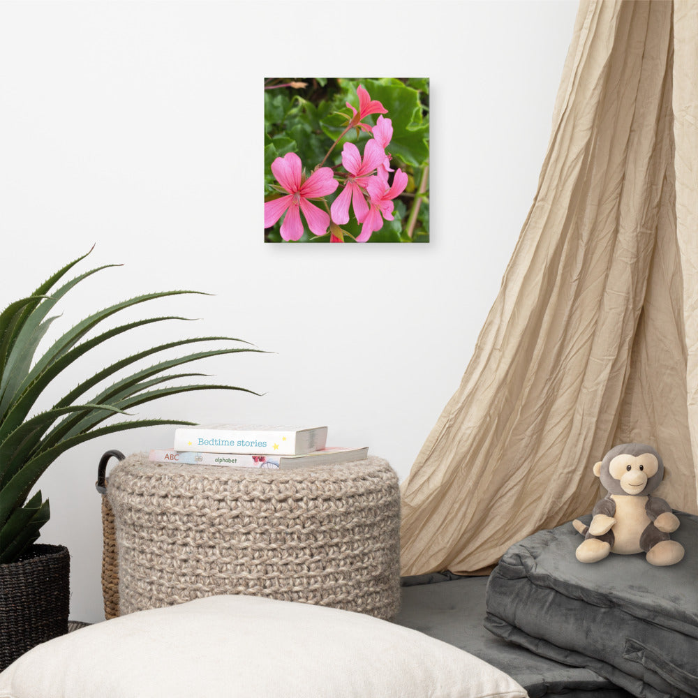 Appealing - flower gift canvas