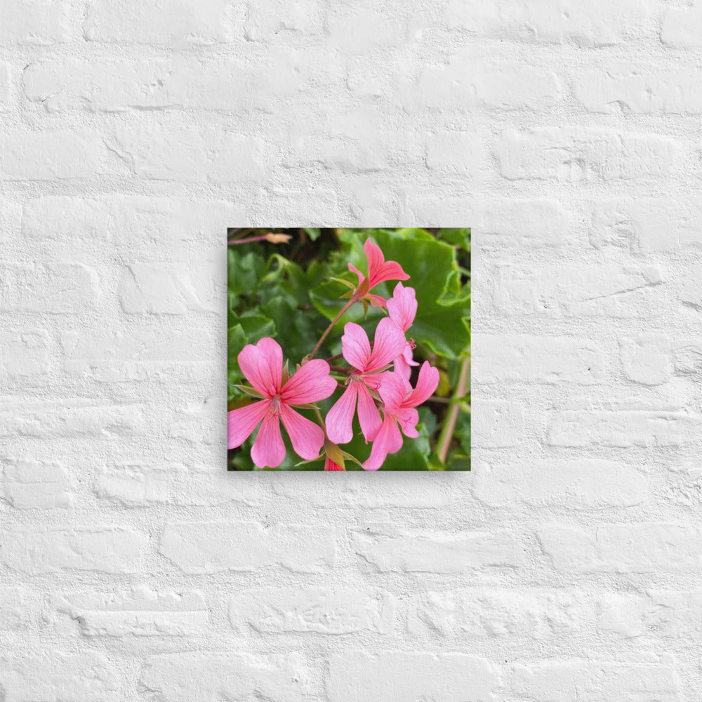 Appealing - flower gift canvas