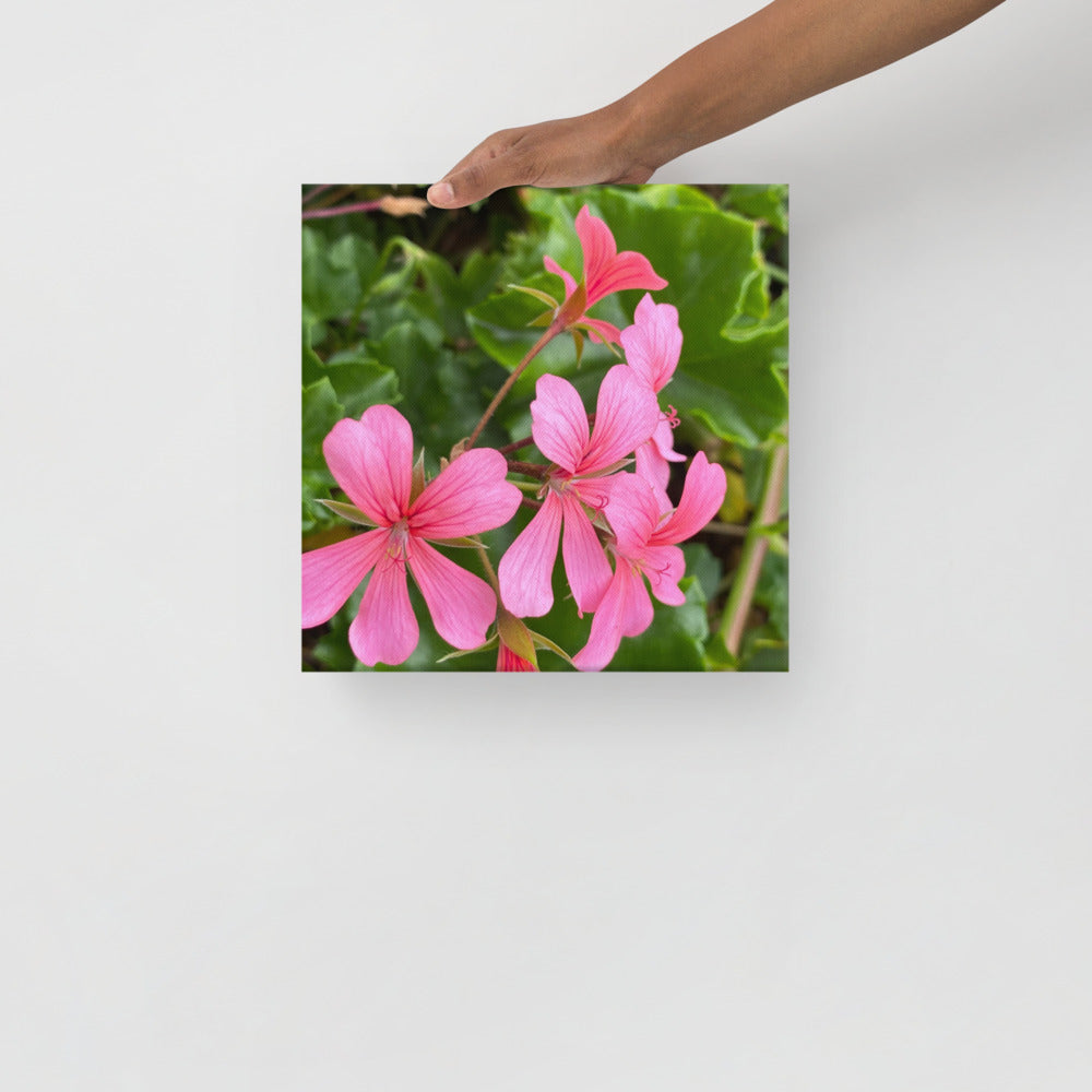 Appealing - flower gift canvas