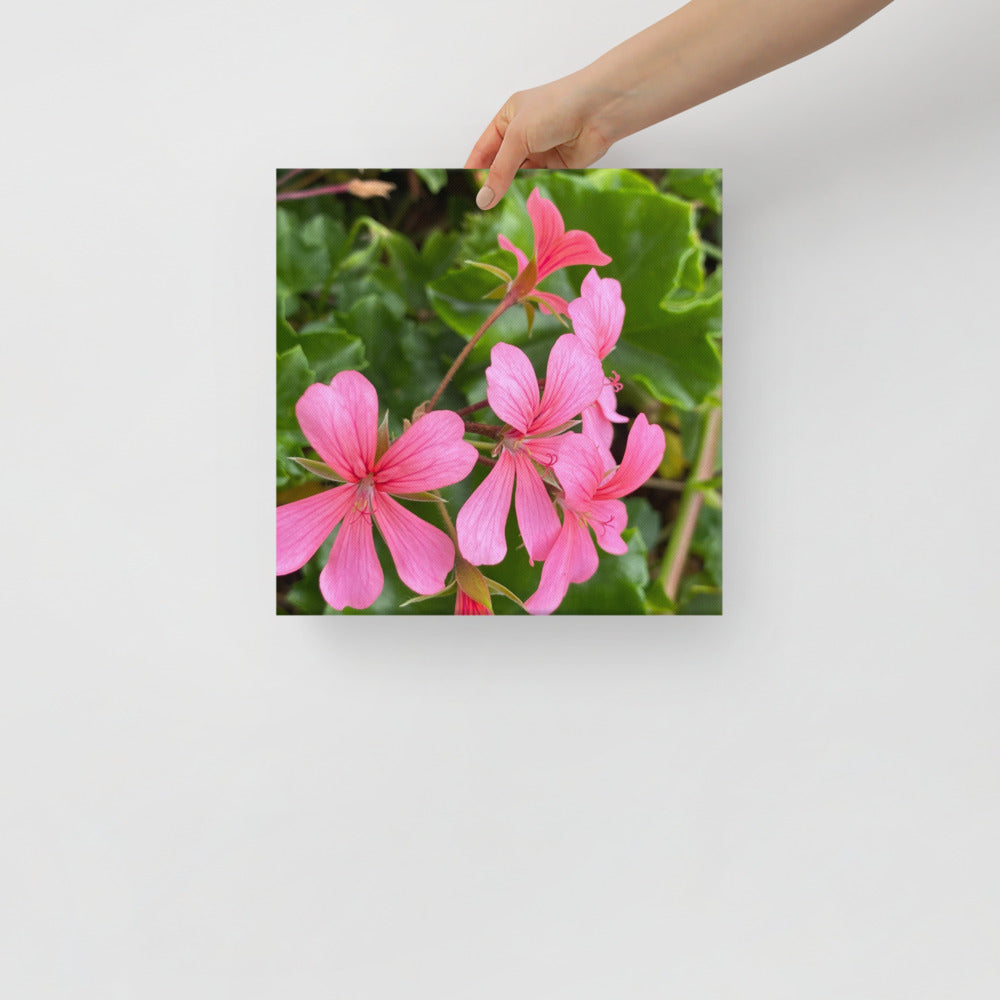 Appealing - flower gift canvas