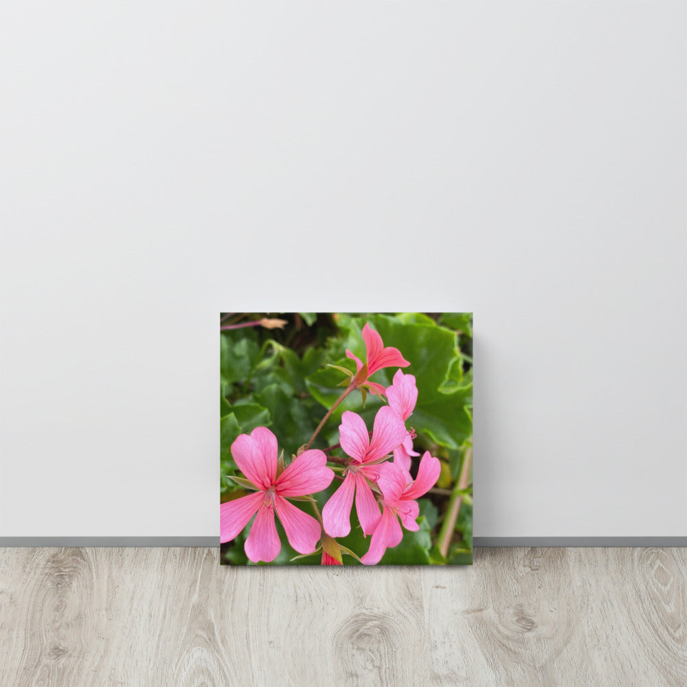 Appealing - flower gift canvas