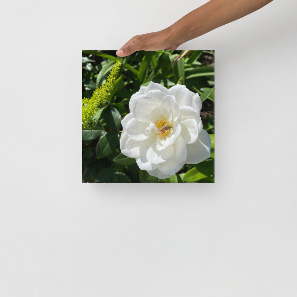 Magnificent - flower gift canvas