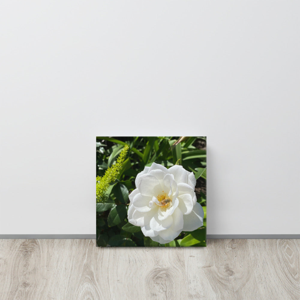 Magnificent - flower gift canvas