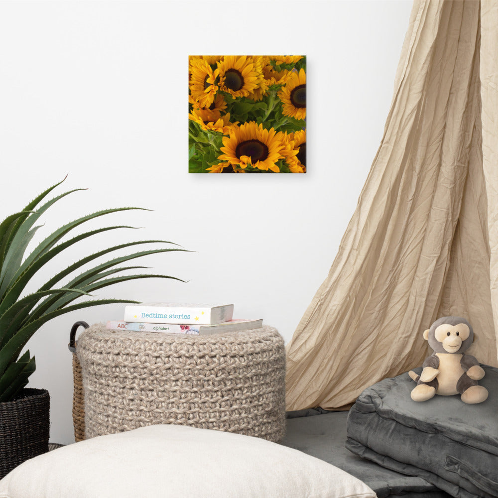 Sunny - flower gift canvas