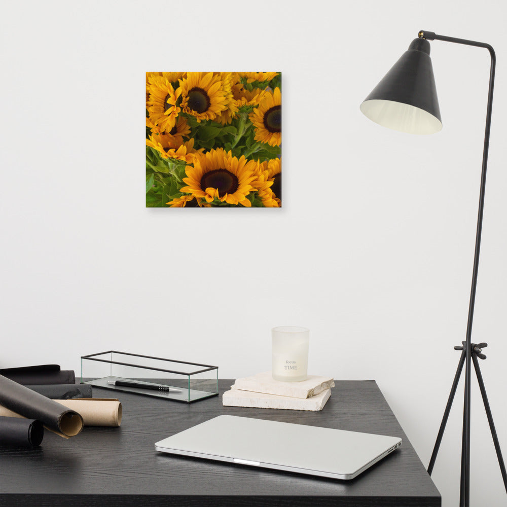 Sunny - flower gift canvas