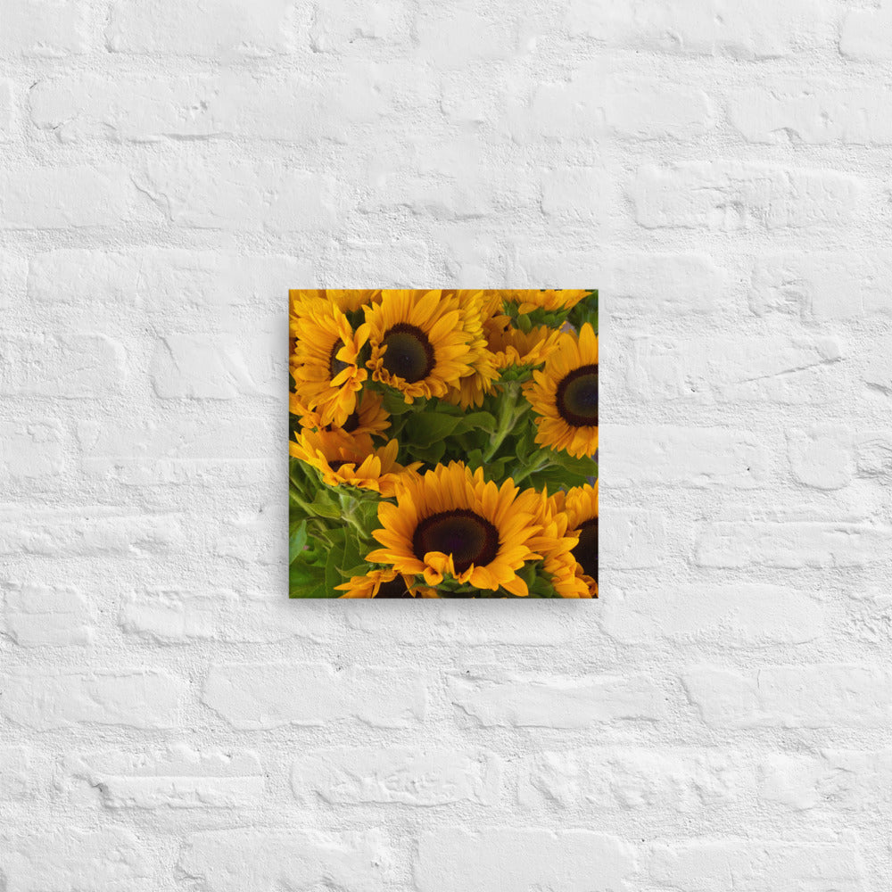 Sunny - flower gift canvas