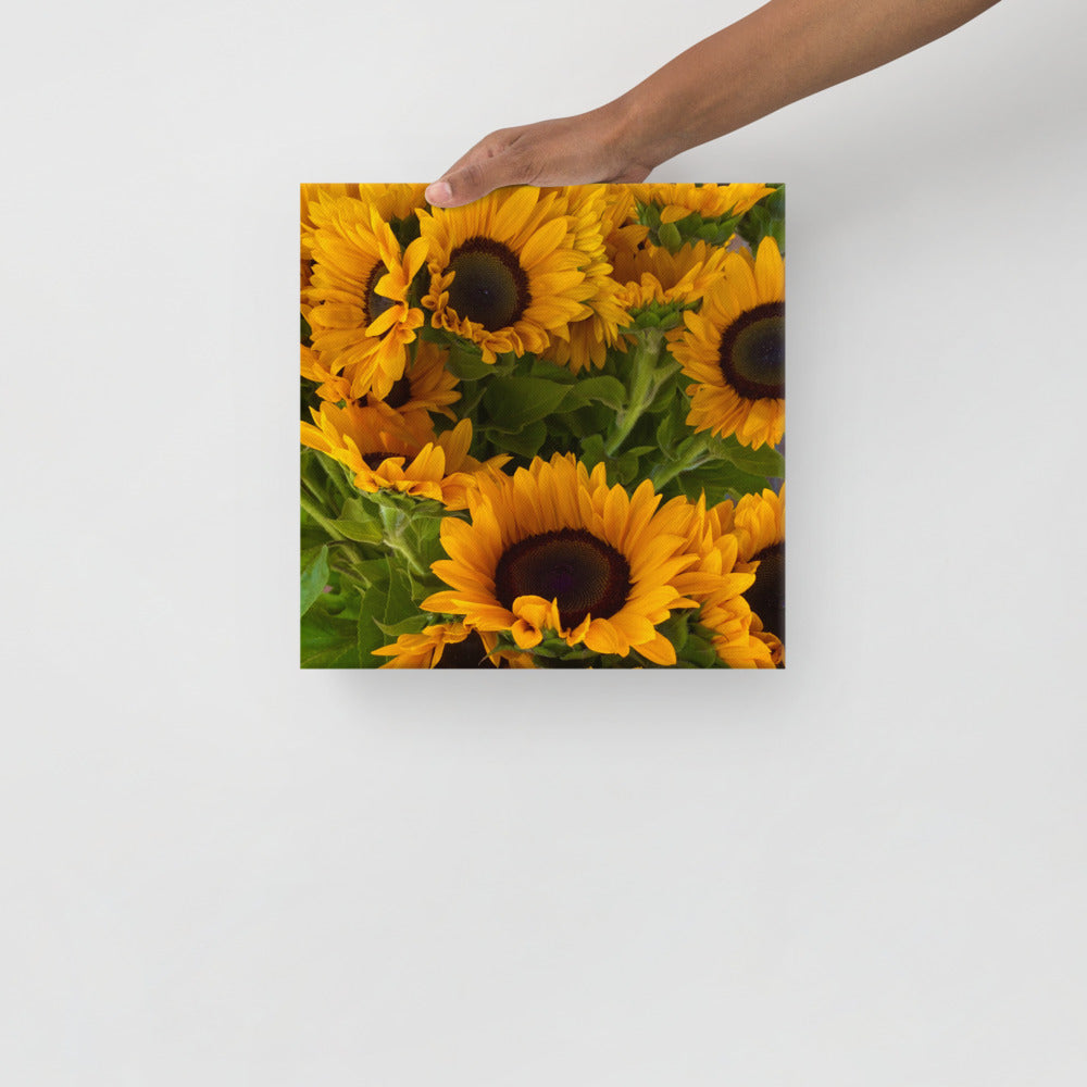 Sunny - flower gift canvas