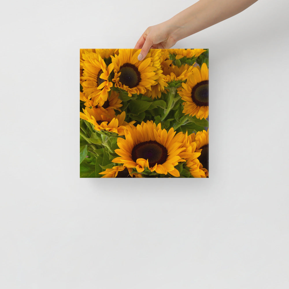 Sunny - flower gift canvas