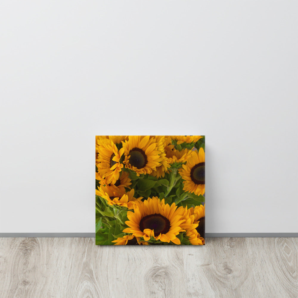 Sunny - flower gift canvas