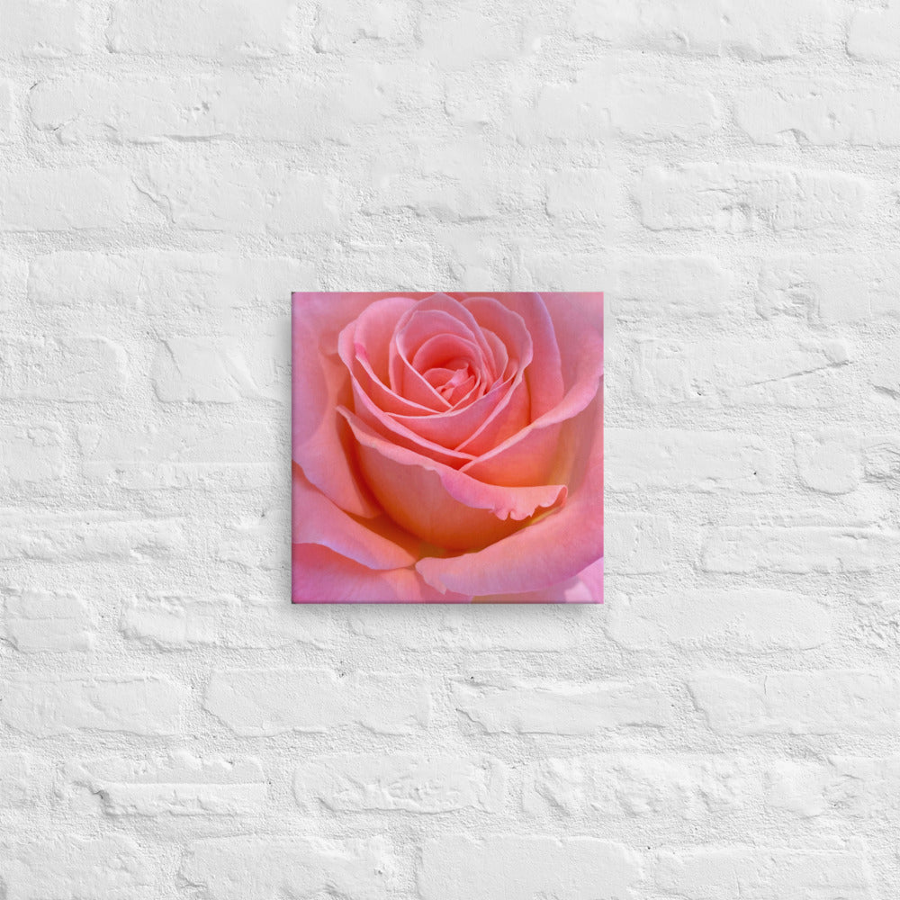 Alluring - flower gift canvas