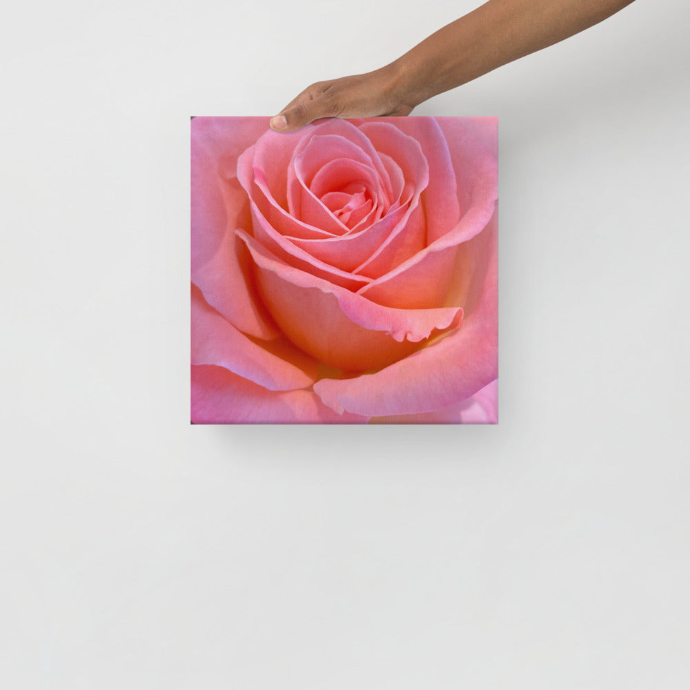 Alluring - flower gift canvas