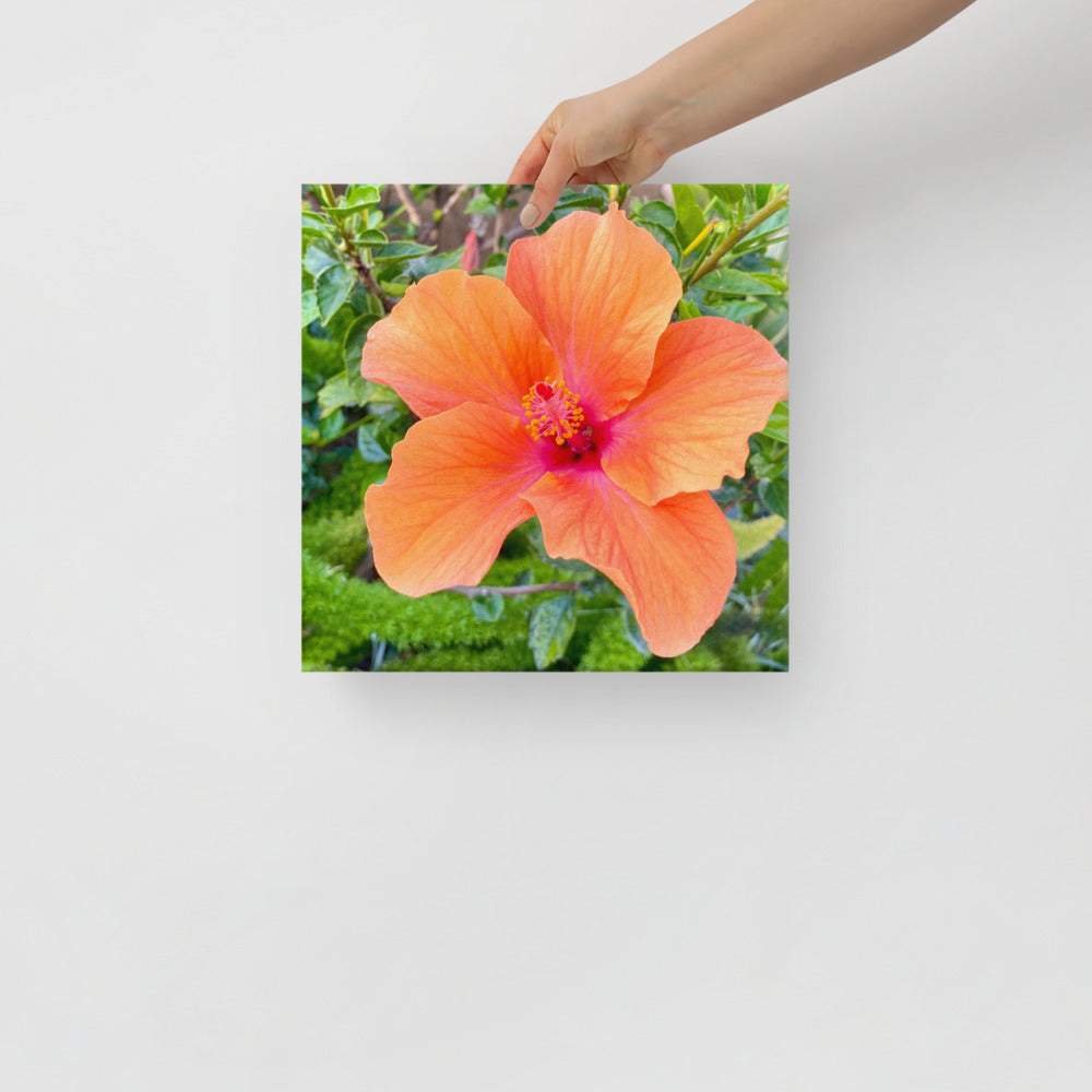 Charming - flower gift canvas