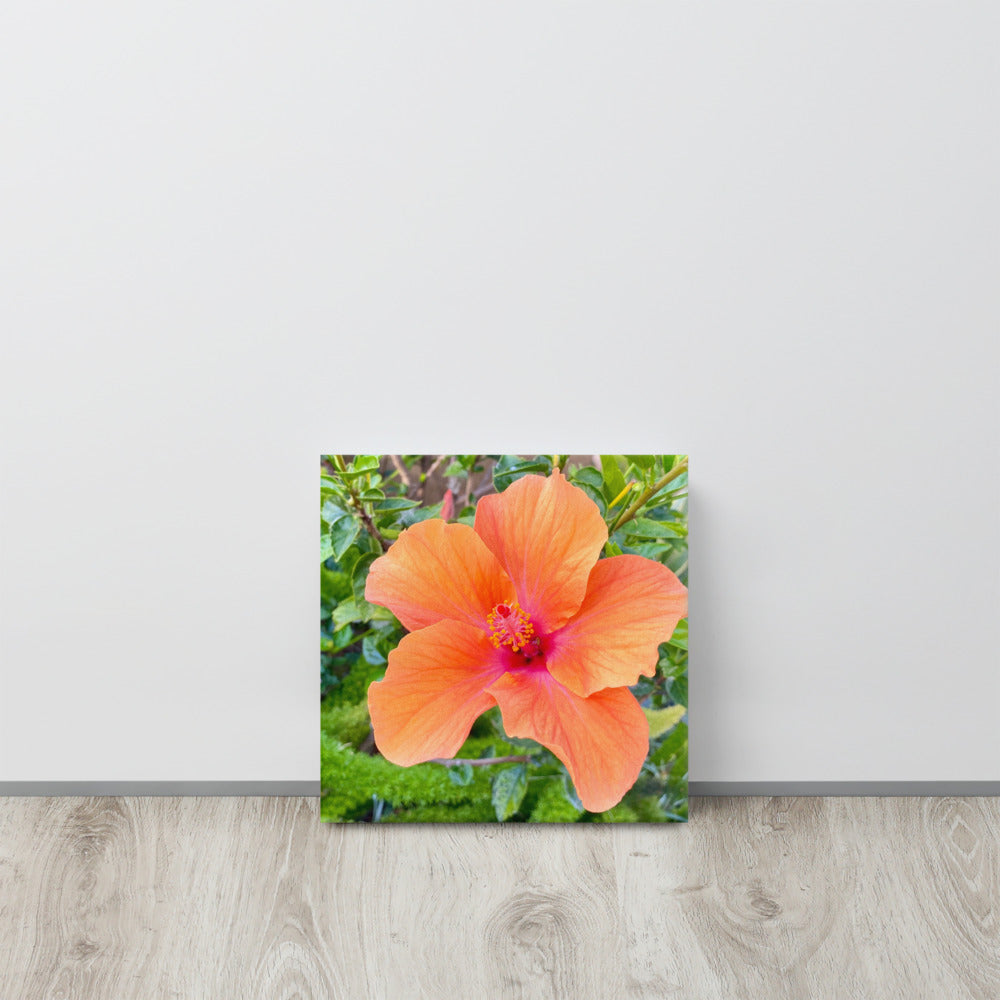 Charming - flower gift canvas