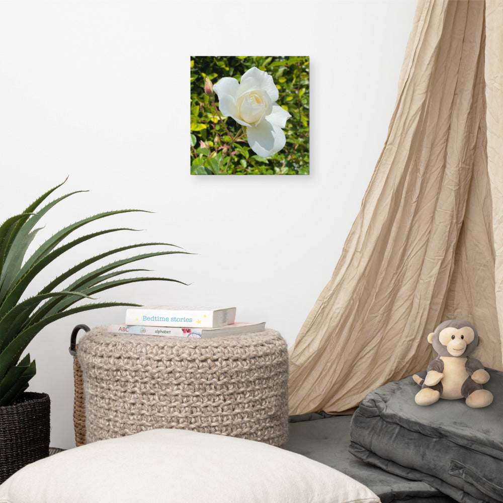 Beautiful - flower gift canvas