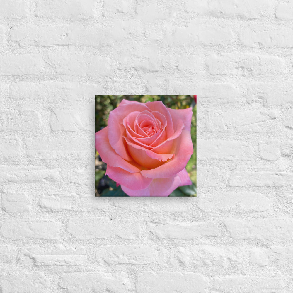 Gorgeous - flower gift canvas