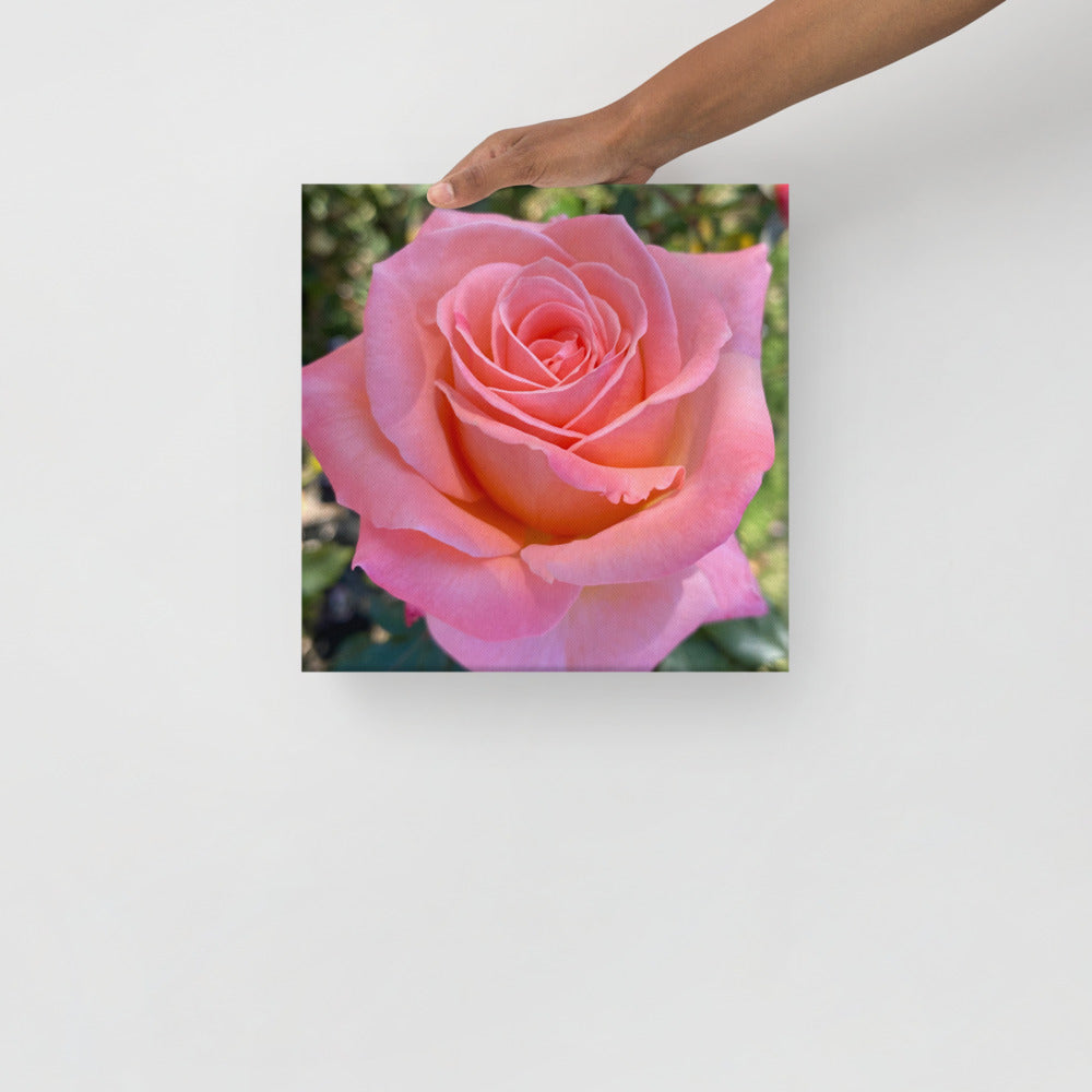 Gorgeous - flower gift canvas