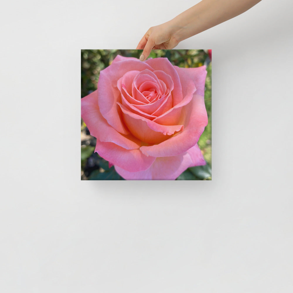 Gorgeous - flower gift canvas