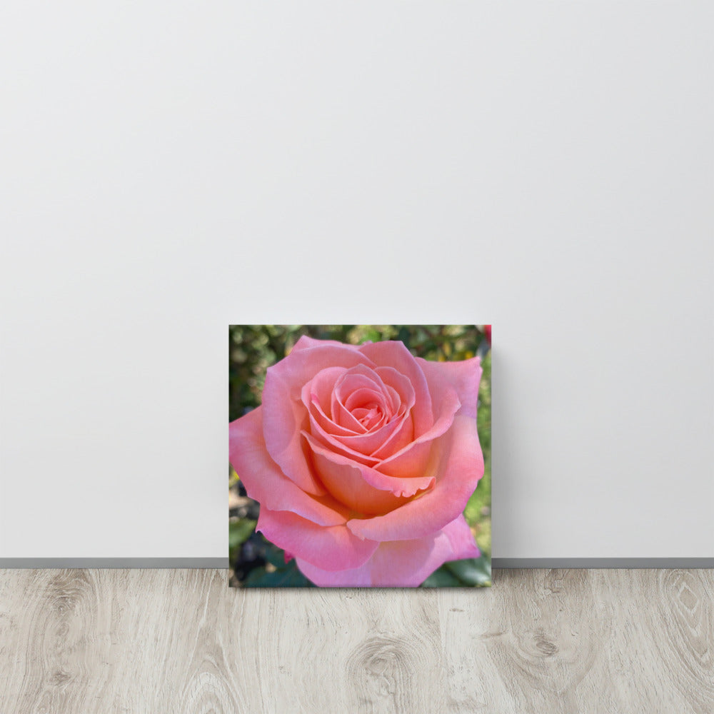 Gorgeous - flower gift canvas