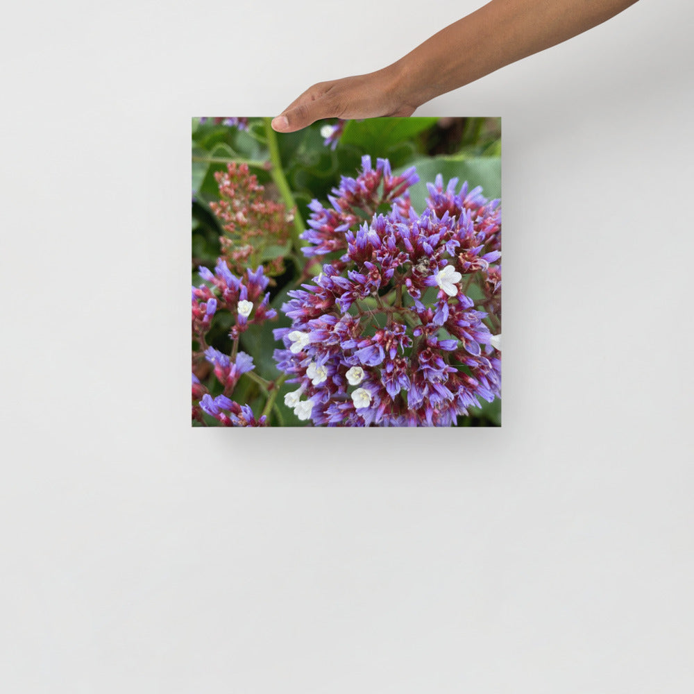 Pretty - flower gift canvas