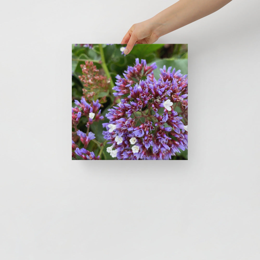 Pretty - flower gift canvas