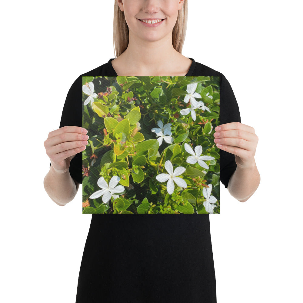 Adorable - flower gift canvas