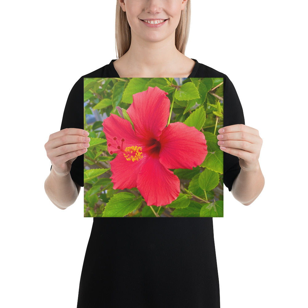 Irresistible - flower gift canvas