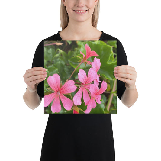 Appealing - flower gift canvas