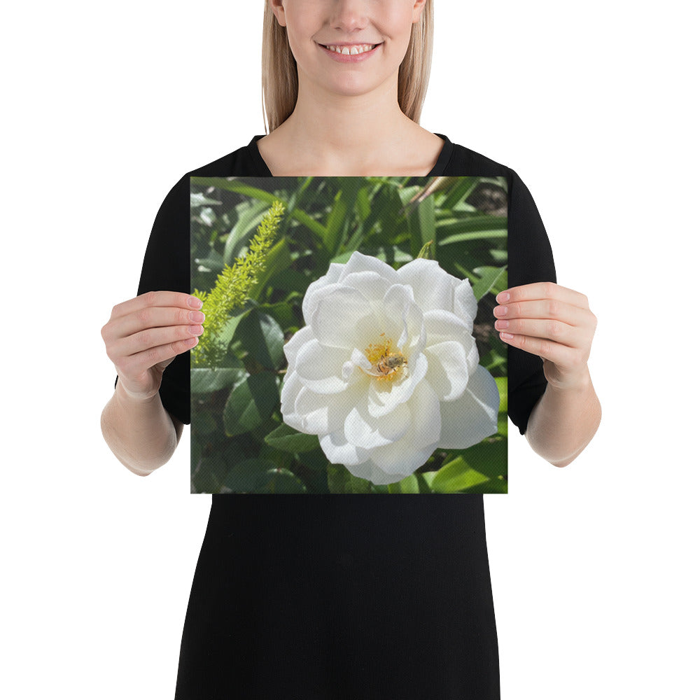 Magnificent - flower gift canvas