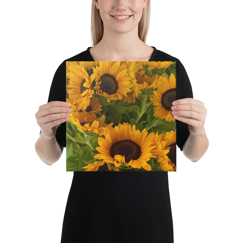 Sunny - flower gift canvas