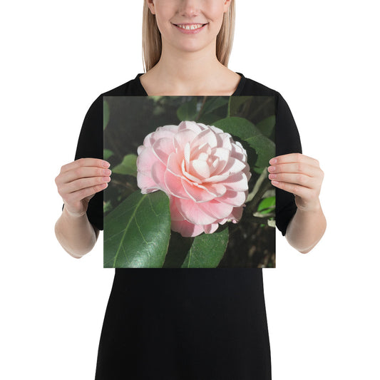 Gorgeous - flower gift canvas