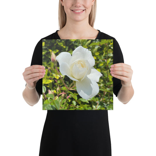 Beautiful - flower gift canvas