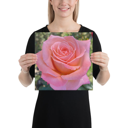 Gorgeous - flower gift canvas