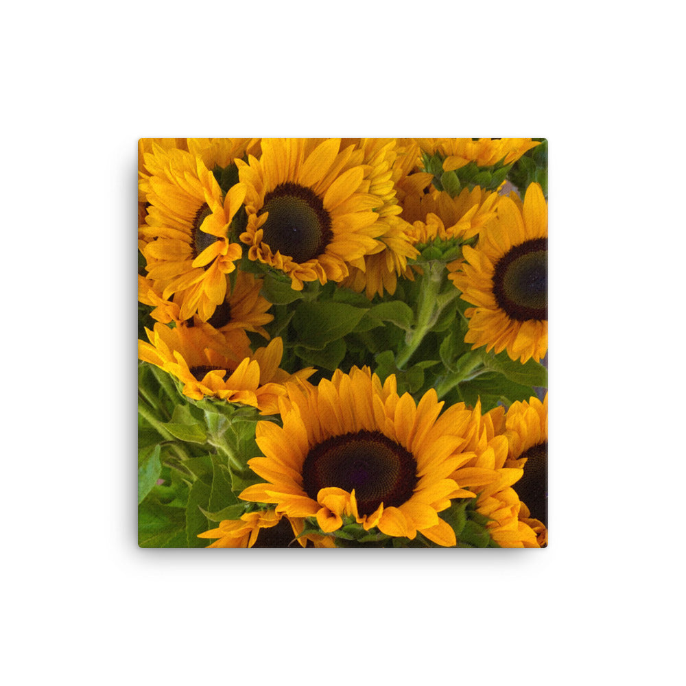 Sunny - flower gift canvas