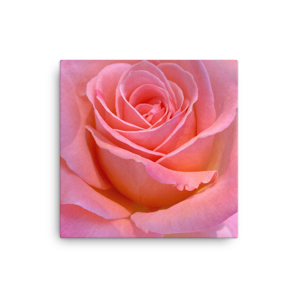 Alluring - flower gift canvas