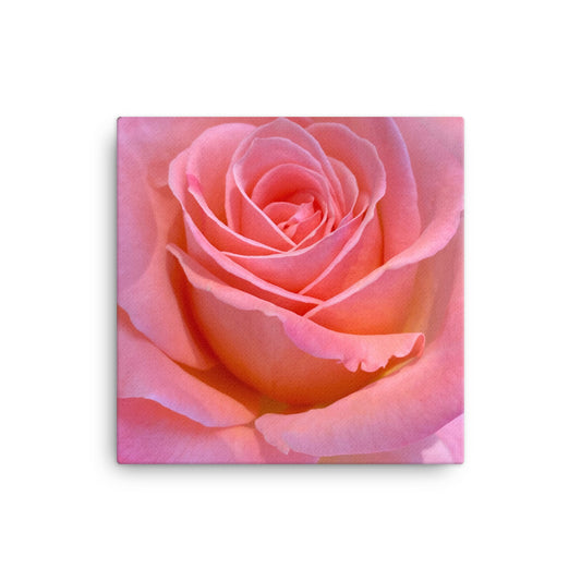 Alluring - flower gift canvas