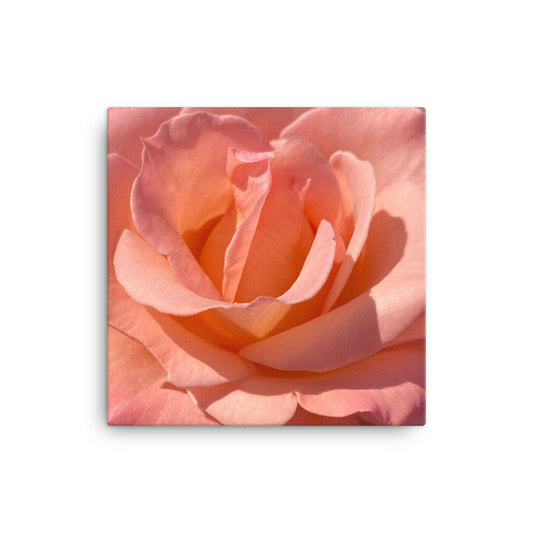 Lovely - flower gift canvas