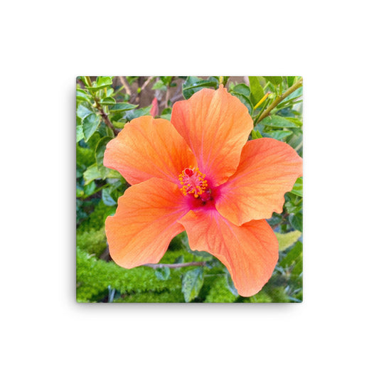 Charming - flower gift canvas