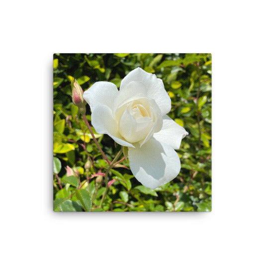 Beautiful - flower gift canvas