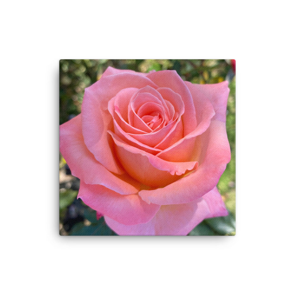 Gorgeous - flower gift canvas