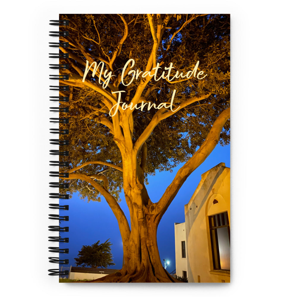 My Gratitude Journey - spiral notebook